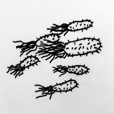 https://www.diogodemoraes.net/files/gimgs/th-53_25_v2.jpg